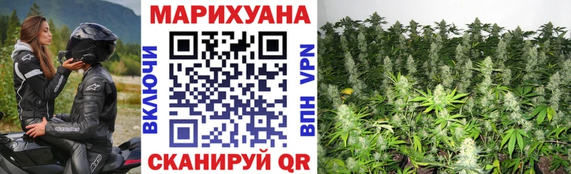 Конопля тримм Власиха